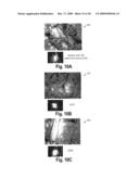 SYSTEMS AND METHODS FOR CREATING CRYSTALLOGRAPHIC-ORIENTATION CONTROLLED poly-SILICON FILMS diagram and image