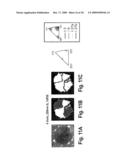 SYSTEMS AND METHODS FOR CREATING CRYSTALLOGRAPHIC-ORIENTATION CONTROLLED poly-SILICON FILMS diagram and image