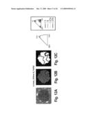 SYSTEMS AND METHODS FOR CREATING CRYSTALLOGRAPHIC-ORIENTATION CONTROLLED poly-SILICON FILMS diagram and image