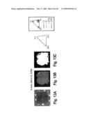 SYSTEMS AND METHODS FOR CREATING CRYSTALLOGRAPHIC-ORIENTATION CONTROLLED poly-SILICON FILMS diagram and image