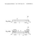 Semiconductor chip package and multichip package diagram and image