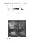 Tunable optical Active Elements diagram and image