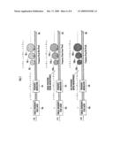 IMAGE DISPLAY DEVICE diagram and image