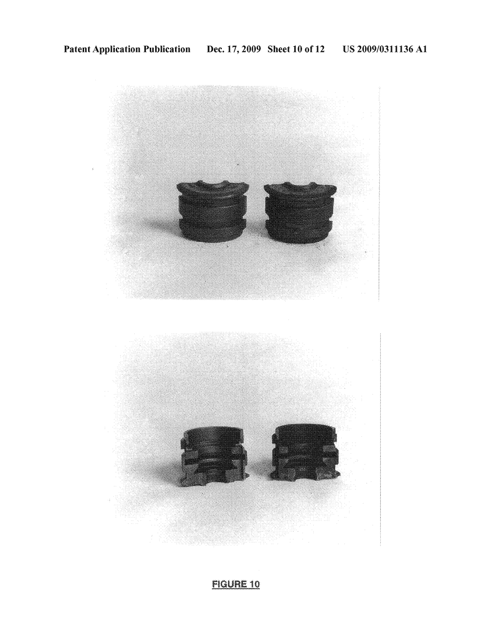 Enzymatic antibacterial cleaner having high pH stability - diagram, schematic, and image 11