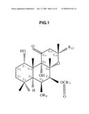 DRUG, DRUG GUIDANCE SYSTEM, MAGNETIC DETECTION SYSTEM, AND DRUG DESIGN METHOD diagram and image