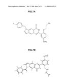 DRUG, DRUG GUIDANCE SYSTEM, MAGNETIC DETECTION SYSTEM, AND DRUG DESIGN METHOD diagram and image