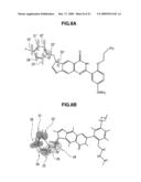 DRUG, DRUG GUIDANCE SYSTEM, MAGNETIC DETECTION SYSTEM, AND DRUG DESIGN METHOD diagram and image