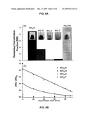 COMBUSTION SYNTHESIS AND DOPING OF OXIDE SEMICONDUCTORS diagram and image