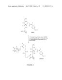 Selective Targeting of Apoptotic Cells diagram and image