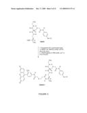 Selective Targeting of Apoptotic Cells diagram and image