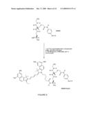 Selective Targeting of Apoptotic Cells diagram and image