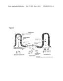 COMPOSITIONS AND METHODS FOR THE INNATE IMMUNE RESPONSE PATHWAY diagram and image