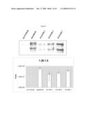 Oncolytic Adenoviruses for Cancer Treatment diagram and image