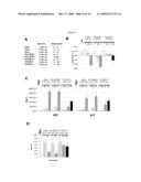 Oncolytic Adenoviruses for Cancer Treatment diagram and image