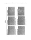 BIOMATERIALS FOR REGENERATIVE MEDICINE diagram and image