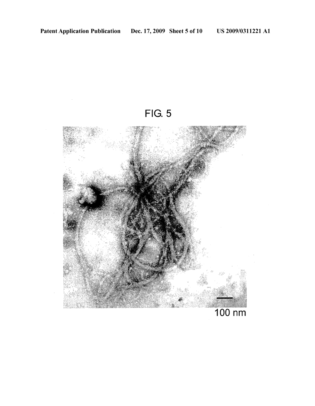 BIOMATERIALS FOR REGENERATIVE MEDICINE - diagram, schematic, and image 06