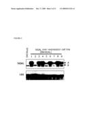 THERAPEUTIC AGENT COMPRISING LIPOCALIN 2 AGAINST CANCER METASTASIS, AND METHODS OF EARLY DIAGNOSIS AND INHIBITION OF CANCER METASTASIS USING LIPOCALIN 2 diagram and image