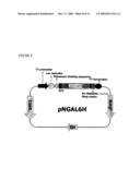 THERAPEUTIC AGENT COMPRISING LIPOCALIN 2 AGAINST CANCER METASTASIS, AND METHODS OF EARLY DIAGNOSIS AND INHIBITION OF CANCER METASTASIS USING LIPOCALIN 2 diagram and image