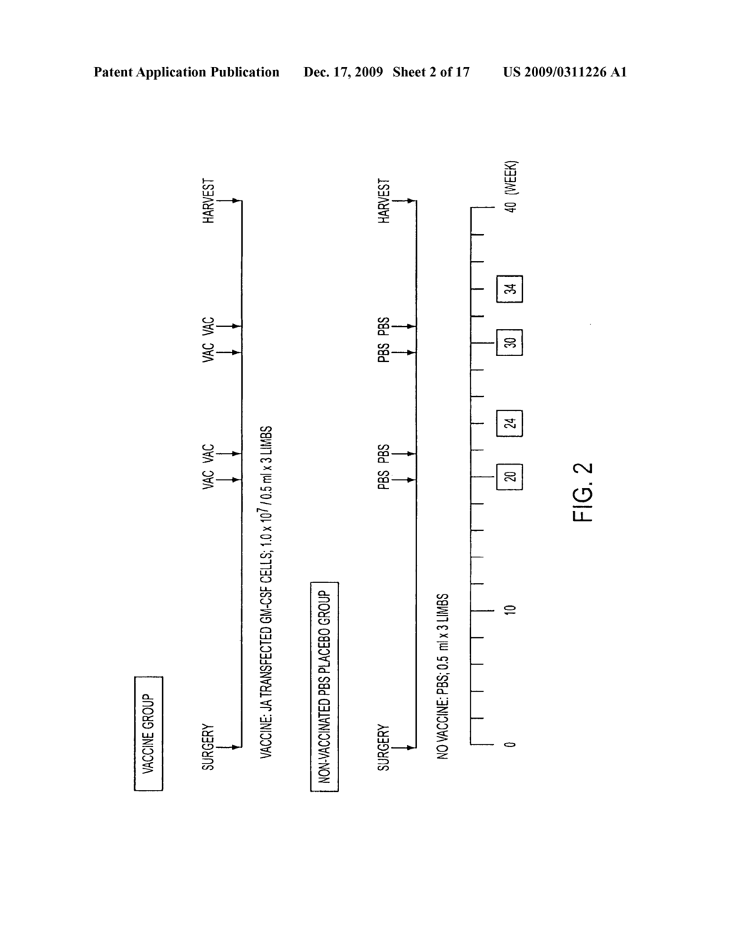 COMPOSITION AND METHOD FOR TREATING ESOPHAGEAL DYSPLASIA - diagram, schematic, and image 03