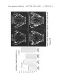 Anti-activin antibodies and uses for promoting bone growth diagram and image