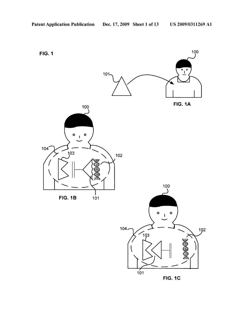 Methods for collecting and detecting oligonucleotides - diagram, schematic, and image 02