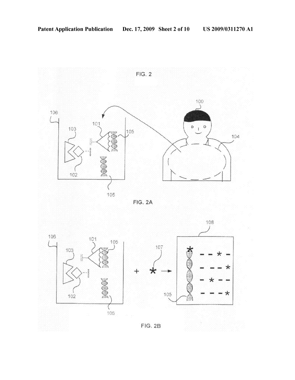 Methods, compositions, and kits for collecting and detecting oligonucleotides - diagram, schematic, and image 03