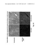 METHODS FOR TREATING TWEAK-RELATED CONDITIONS diagram and image