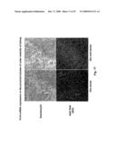 METHODS FOR TREATING TWEAK-RELATED CONDITIONS diagram and image