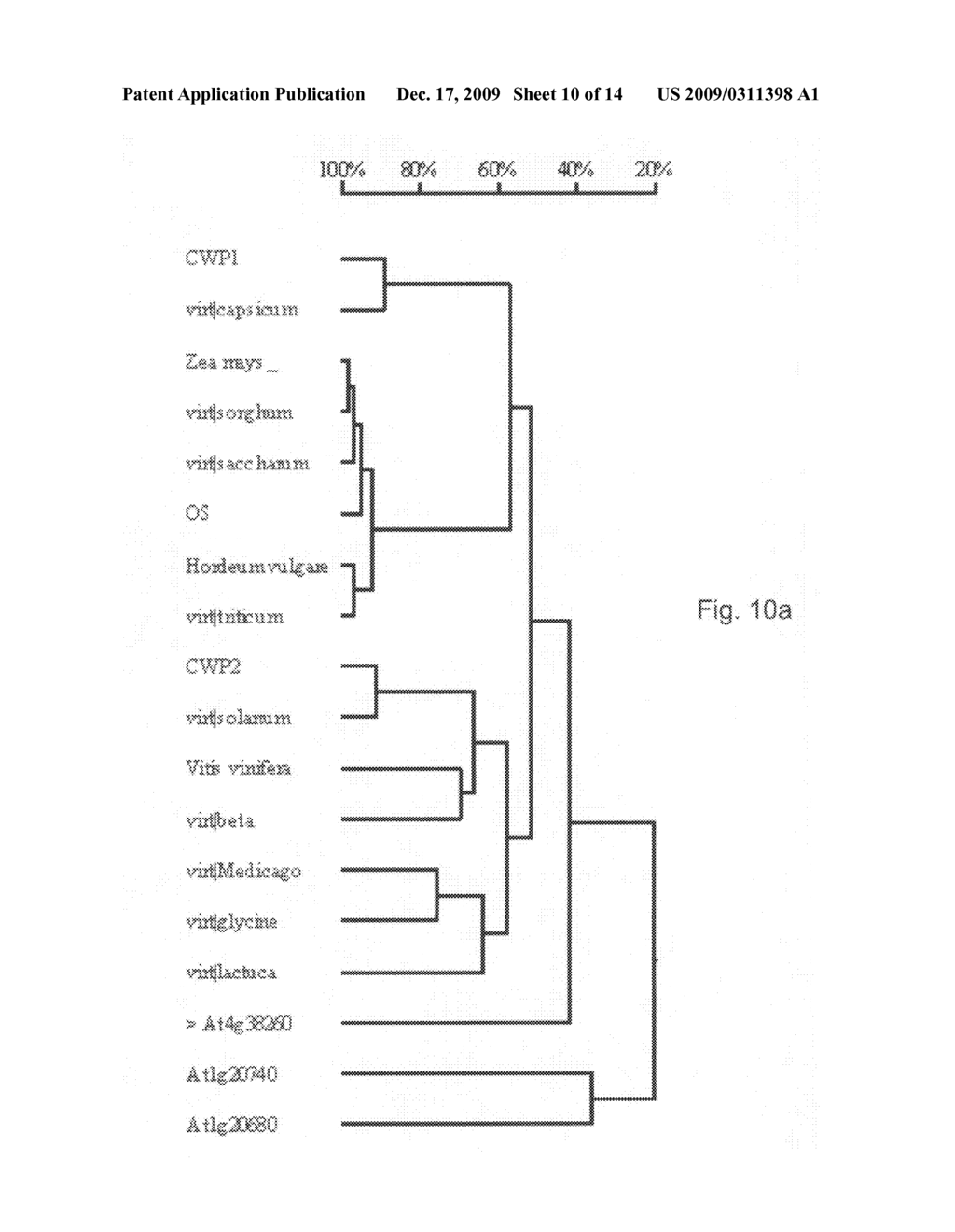 Isolated polypeptides and polynucleotides encoding same for generating plants with increased cuticlar water permeability - diagram, schematic, and image 11