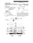 PRODUCTION OF PROTEIN-POLYSACCHARIDE CONJUGATES diagram and image