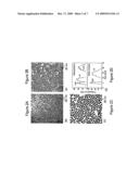 SYNTHESIS, FUNCTIONALIZATION AND ASSEMBLY OF MONODISPERSE HIGH-COERCIVITY SILICA-CAPPED FePt NANOMAGNETS OF TUNABLE SIZE, COMPOSITION AND THERMAL STABILITY FROM IMCROEMULSIONS diagram and image