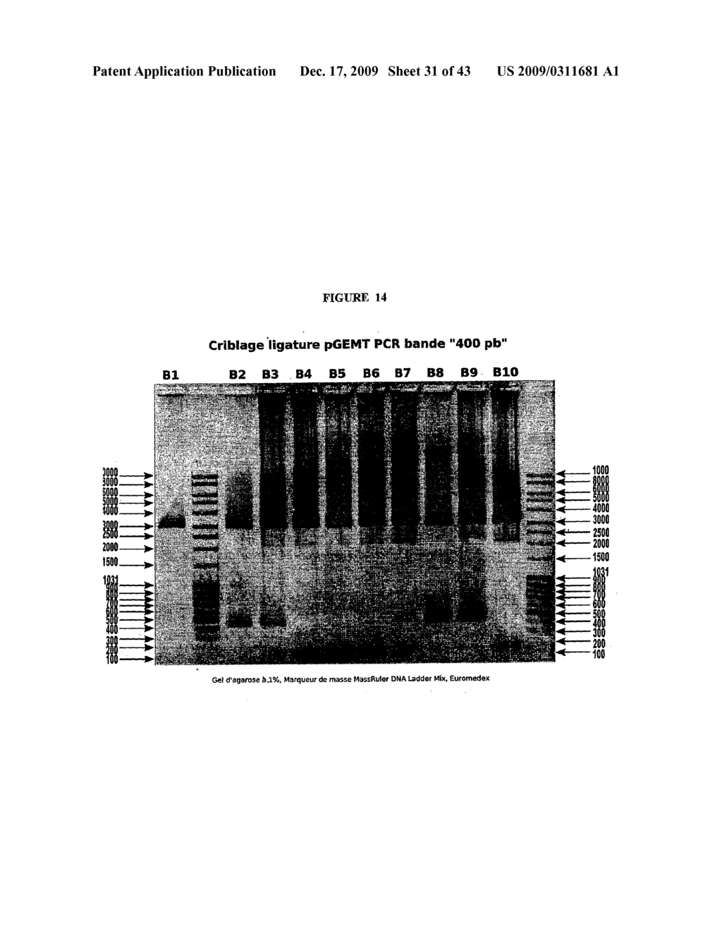 PHARMACODIAGNOSTIC TEST TARGETING ONCOLOGY AND NEURODEGENERATION - diagram, schematic, and image 32