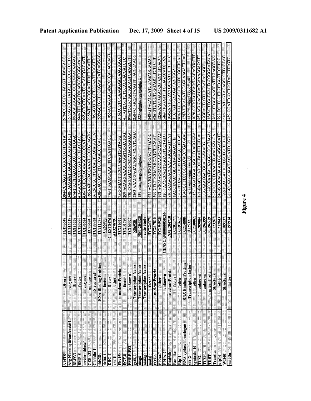 COMBINATION OF AVIAN CELL MARKERS - diagram, schematic, and image 05