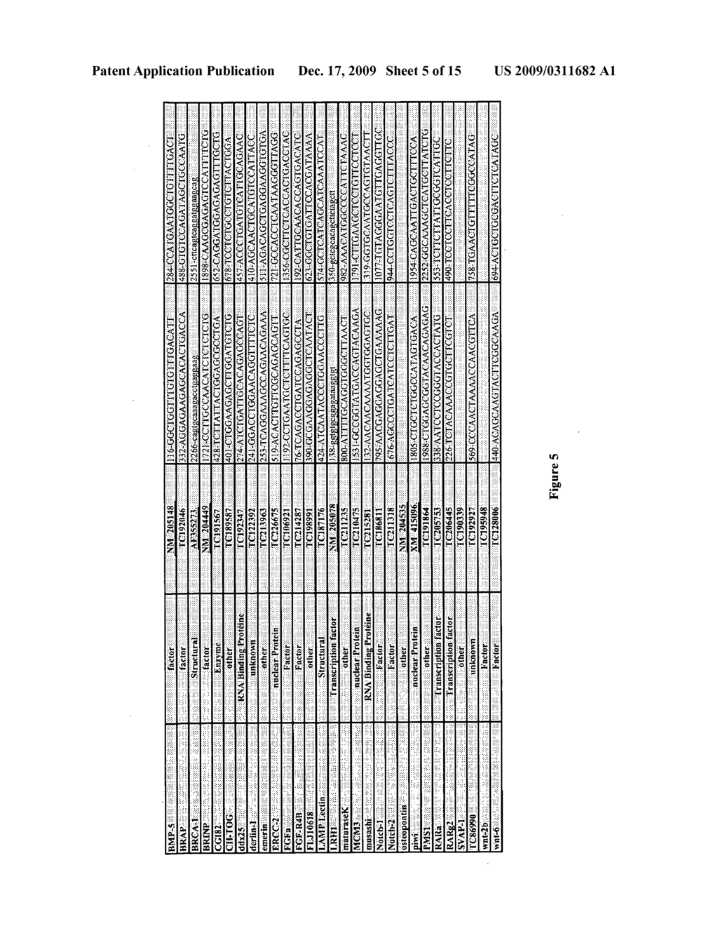 COMBINATION OF AVIAN CELL MARKERS - diagram, schematic, and image 06