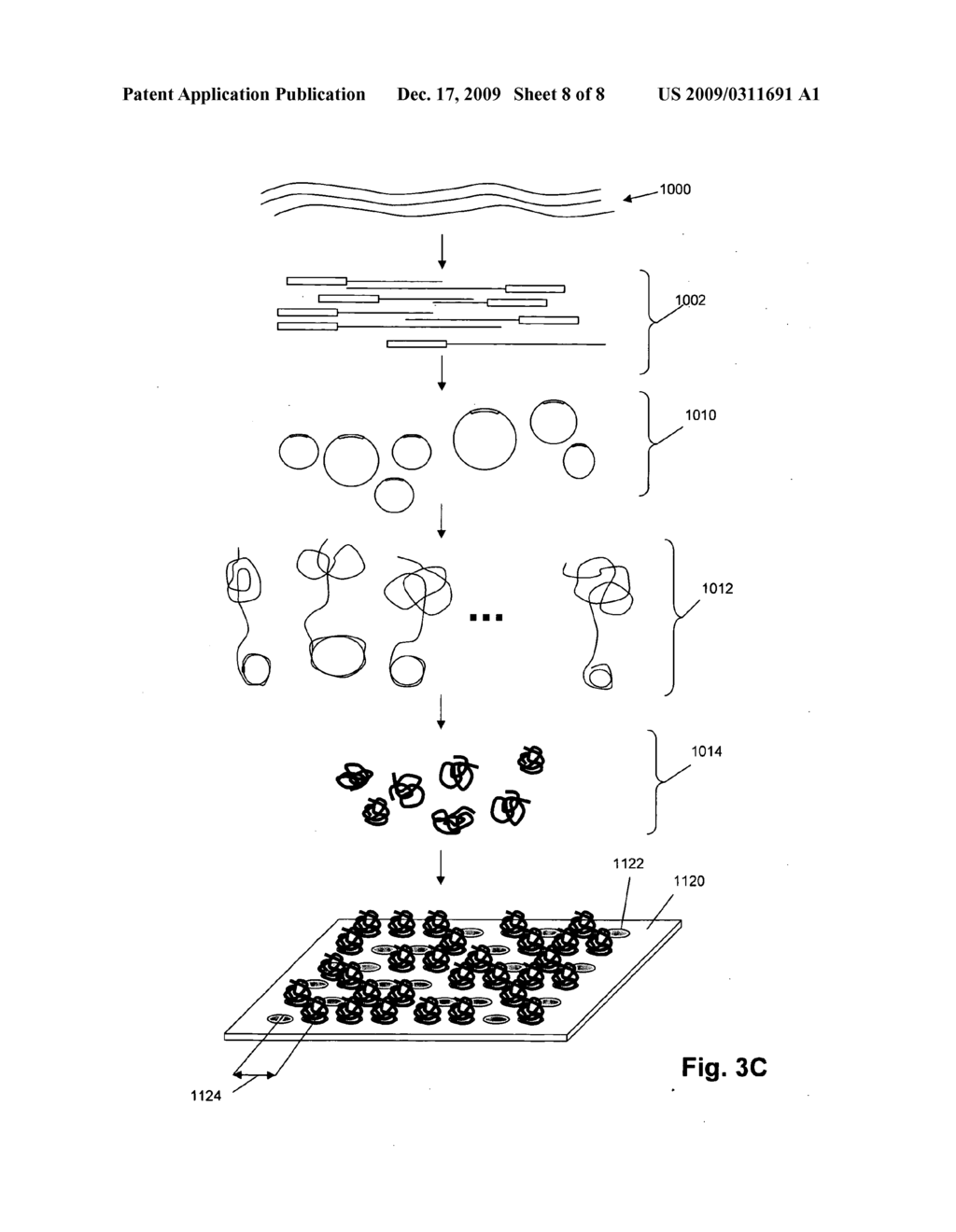 Nucleic acid analysis by random mixtures of non-overlapping fragments - diagram, schematic, and image 09