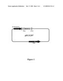 MUTAGENESIS METHODS USING RIBAVIRIN AND/OR RNA REPLICASES diagram and image