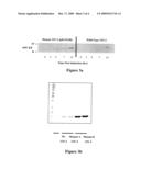 MUTAGENESIS METHODS USING RIBAVIRIN AND/OR RNA REPLICASES diagram and image