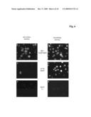 POLYPEPTIDE PRODUCING CELLS diagram and image