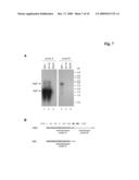 POLYPEPTIDE PRODUCING CELLS diagram and image