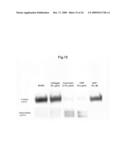 Novel Platelet Activation Marker and Method for Determination Thereof diagram and image