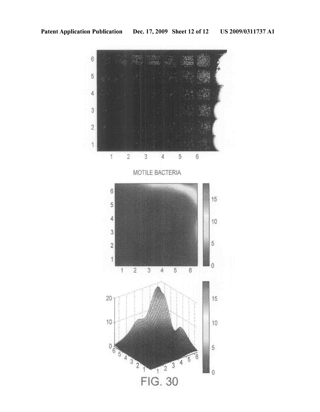 METHOD AND DEVICE FOR GENERATING DIFFUSIVE GRADIENTS IN A MICROFLUIDIC CHAMBER - diagram, schematic, and image 13