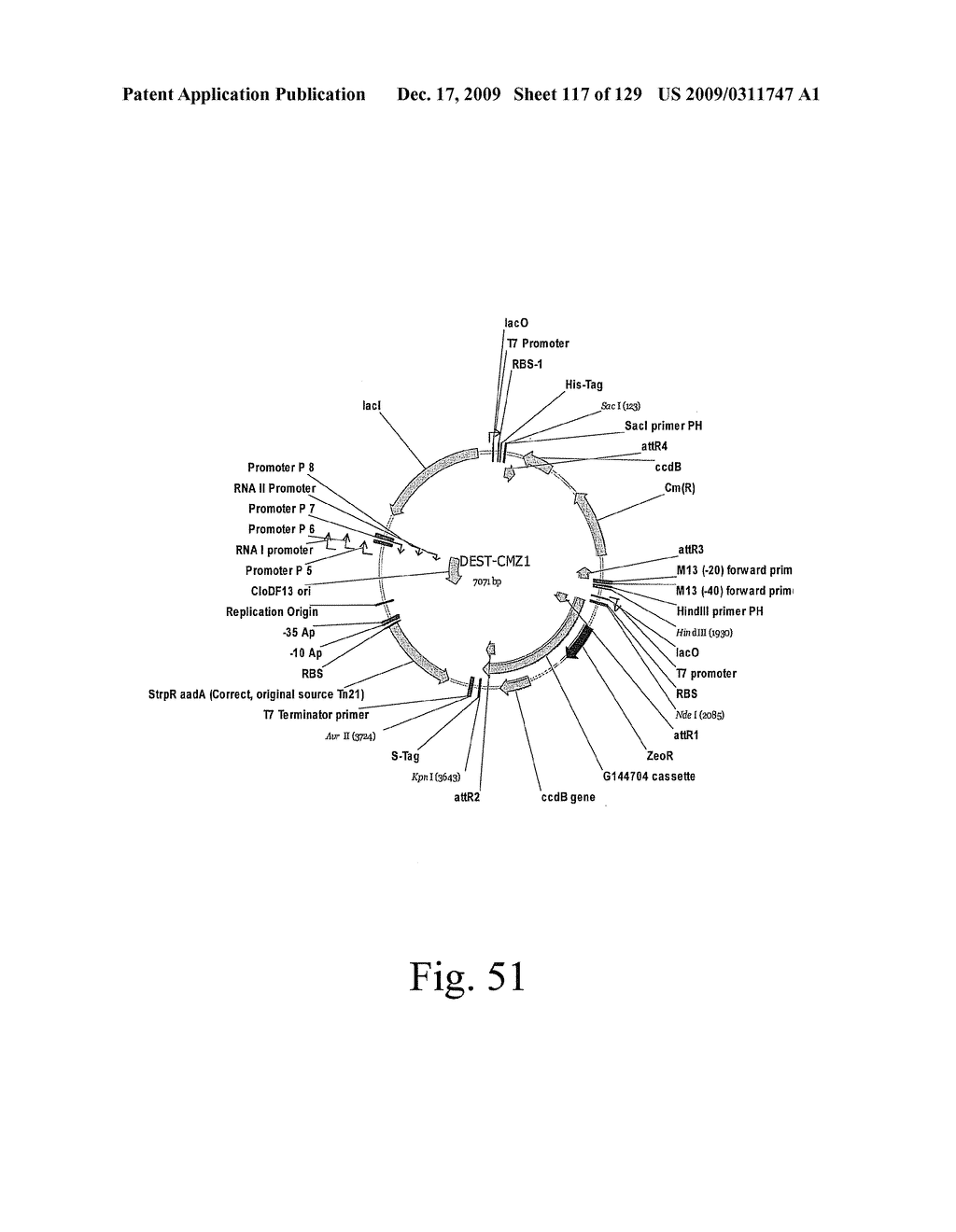 VECTORS AND METHODS FOR HIGH THROUGHPUT CO-EXPRESSIONS - diagram, schematic, and image 118