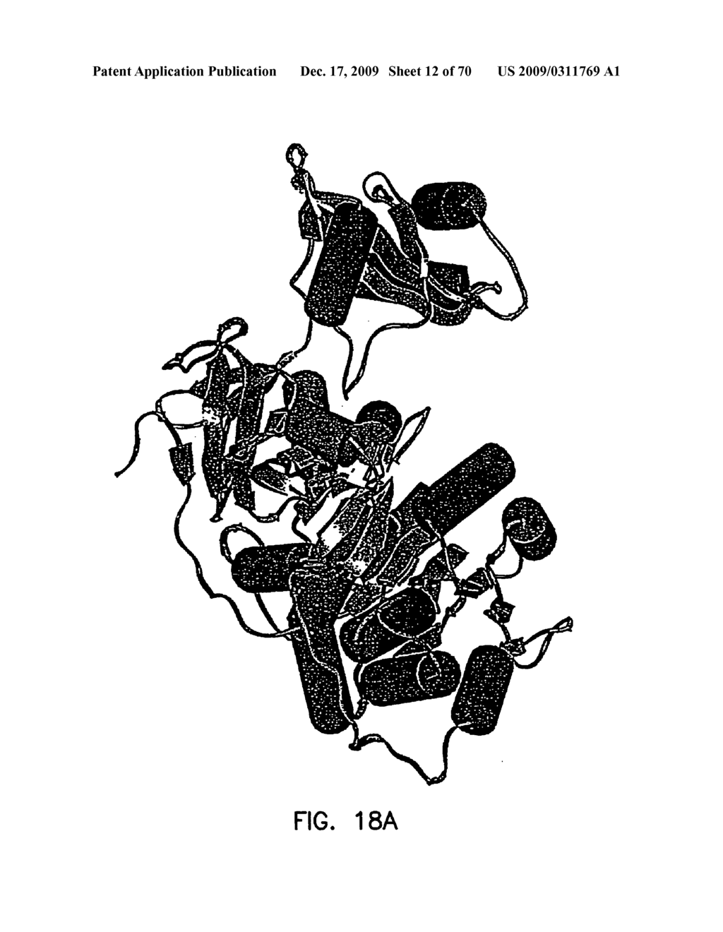 Thermostable luciferases and methods of production - diagram, schematic, and image 13