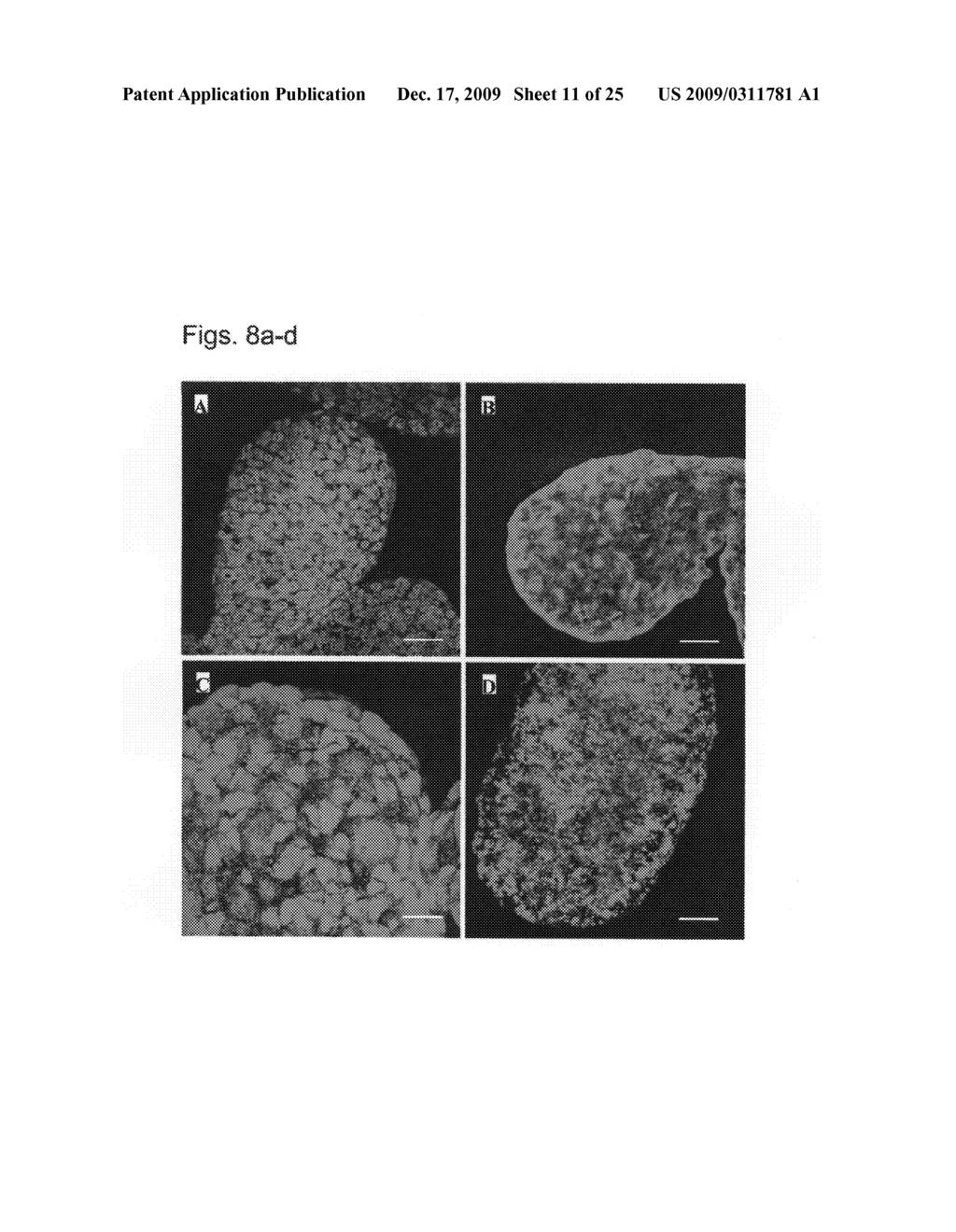 METHODS OF EXPANDING EMBRYONIC STEM CEELS IN A SUSPENSION CULTURE - diagram, schematic, and image 12