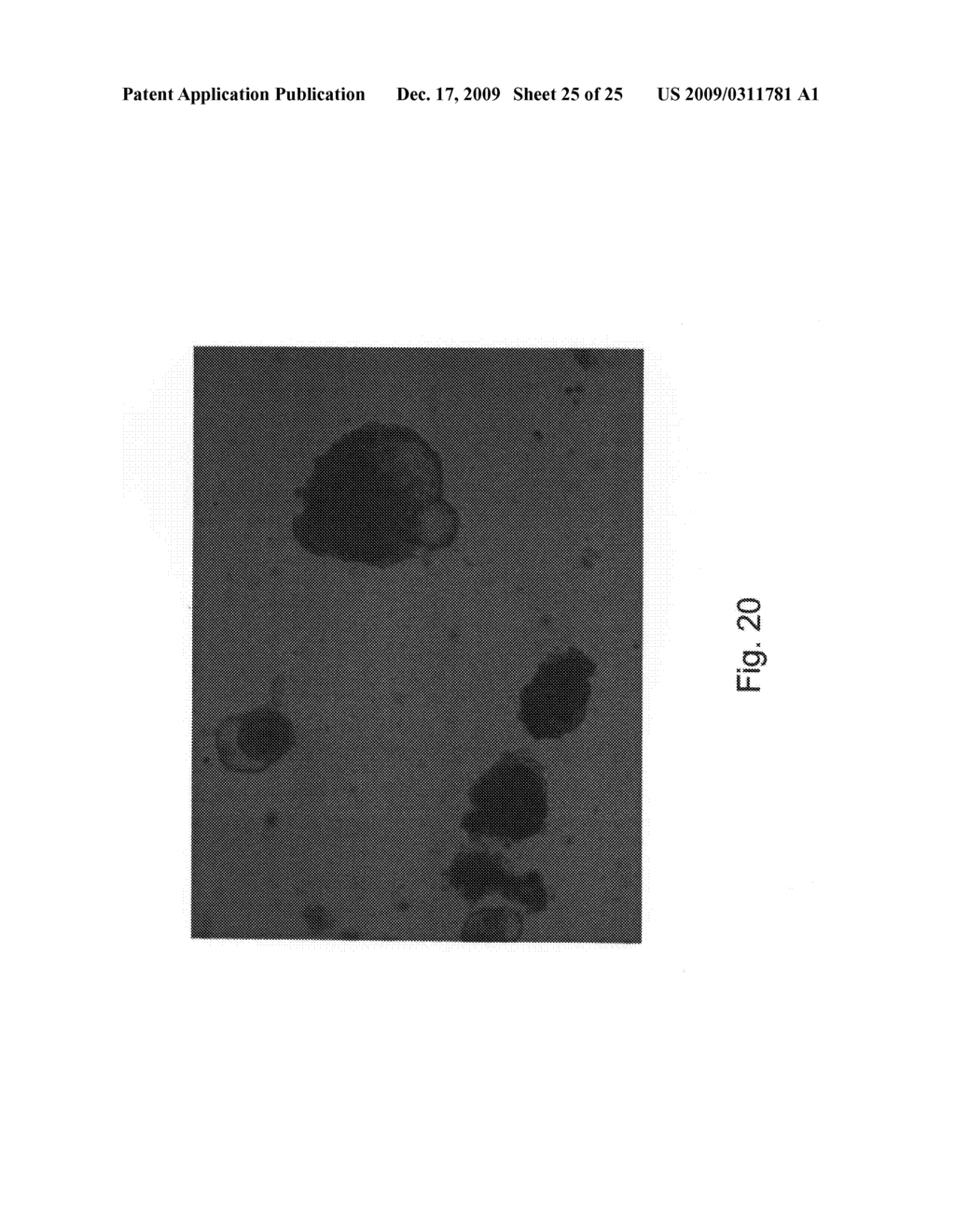 METHODS OF EXPANDING EMBRYONIC STEM CEELS IN A SUSPENSION CULTURE - diagram, schematic, and image 26