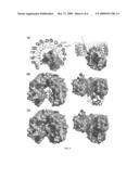 CYTOTOXIC RIBONUCLEASE VARIANTS diagram and image