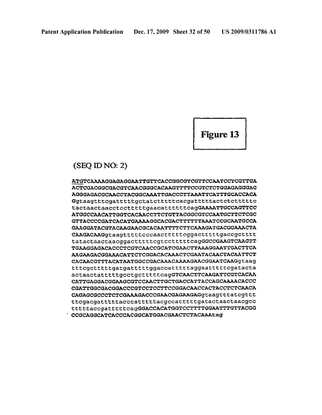 Levels and/or Sustainability of DNA-based Gene Expression - diagram, schematic, and image 33