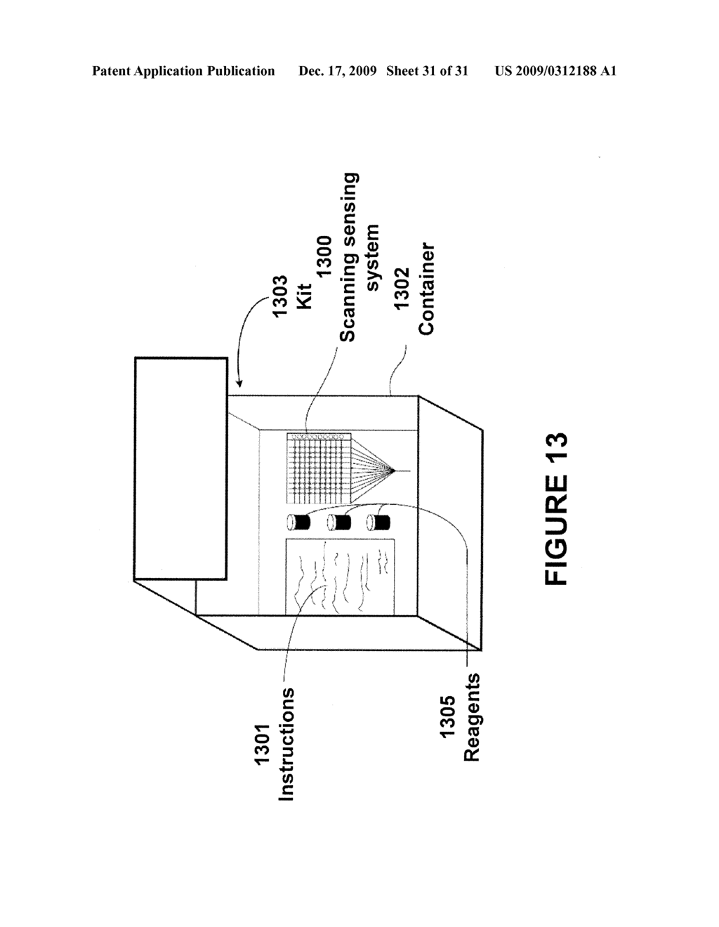 SYSTEM AND METHOD FOR NUCLEIC ACIDS SEQUENCING BY PHASED SYNTHESIS - diagram, schematic, and image 32