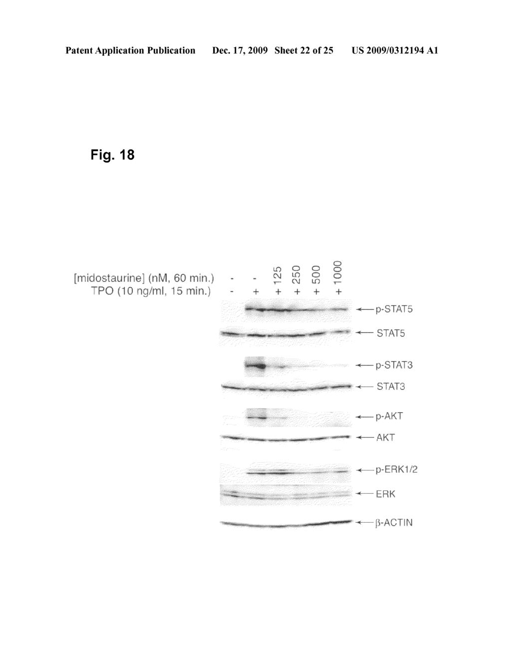 SELECTION OF PERSONALIZED CANCER THERAPY REGIMENS USING INTERFERING RNA FUNCTIONAL SCREENING - diagram, schematic, and image 23