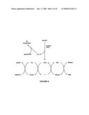 Protection Against Oxidative Damage in Cells diagram and image